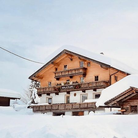 Waldruhe Appartements Санкт-Якоб-ин-Деферегген Экстерьер фото